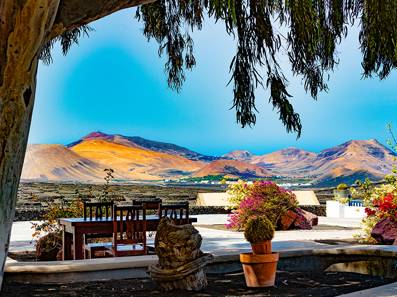 La Geria Wine Region